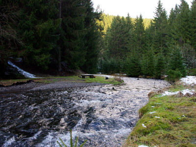 Innerste mit Schmelzwasser