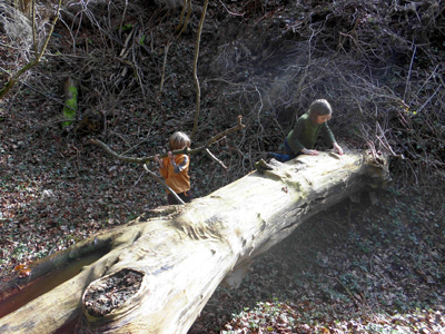 Waldkinder bei Bauarbeiten