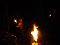 Fackeln im Wald