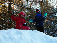 Schneeball