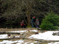 Kinder unter der Weide