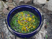 Zaubersuppe