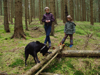 Hund mit Baum