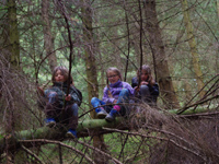 Kinder im Baum
