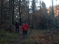 Kinder im Wald
