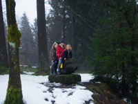 Winterwald