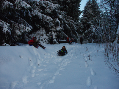Waldzwerg im Schnee