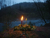 Abfahrt im Wald
