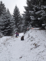 Rodelbahn
