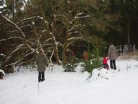 Klettern im Baum