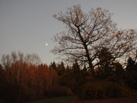 Mond am Abendhimmel