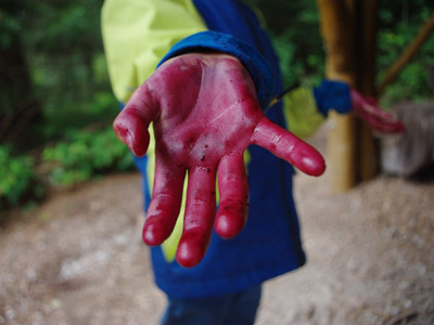 rote Hand von Blaubeeren