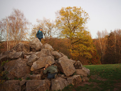 Versteck spielen im Arboretum