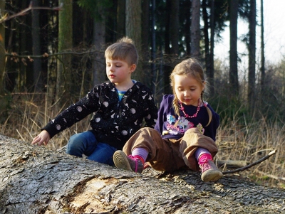 2 Waldkinder auf Baumstamm