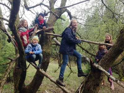 Kids im Baum