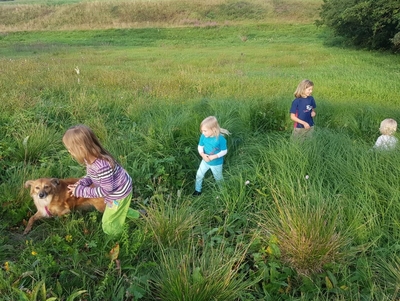 Kinder mit Hund spielen im Gras